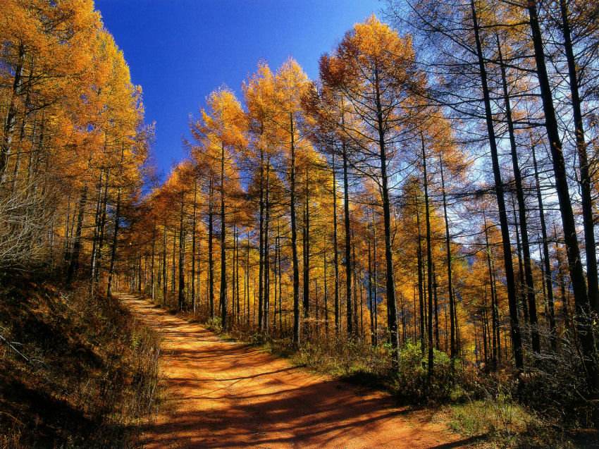 是良师益友也是亲密伴侣,是良师益友也是亲密爱人