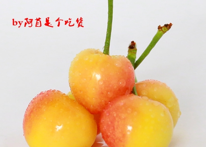 樱桃的季节和品种介绍,樱桃有几个品种哪个品种樱桃好吃