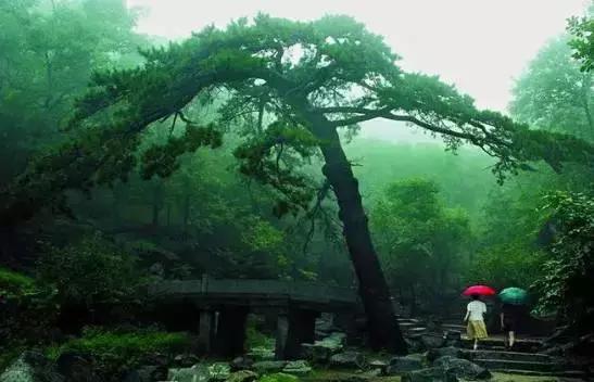 天津三日游自驾游超详细攻略,天津一日游攻略带孩子自驾