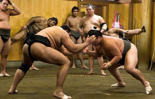 日本年薪百万职业相扑,日本相扑手真实生活