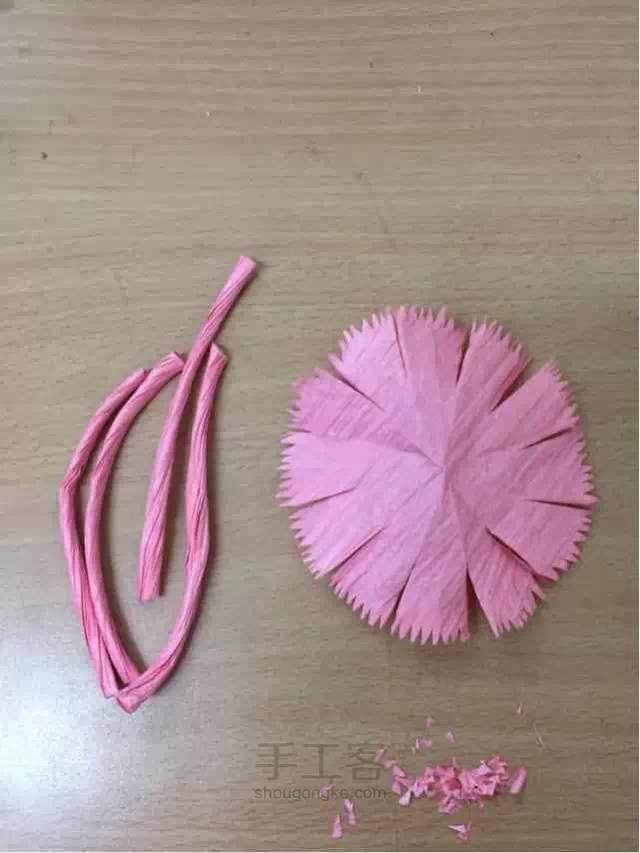 母亲节康乃馨图片大全大图,母亲节礼物手工康乃馨用卫生纸折