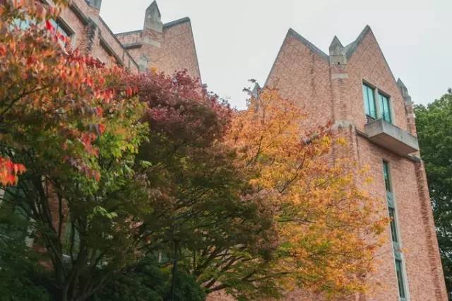 西雅图最浪漫的地方,西雅图一个充满文艺又浪漫的地方