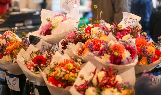 西雅图最浪漫的地方,西雅图一个充满文艺又浪漫的地方