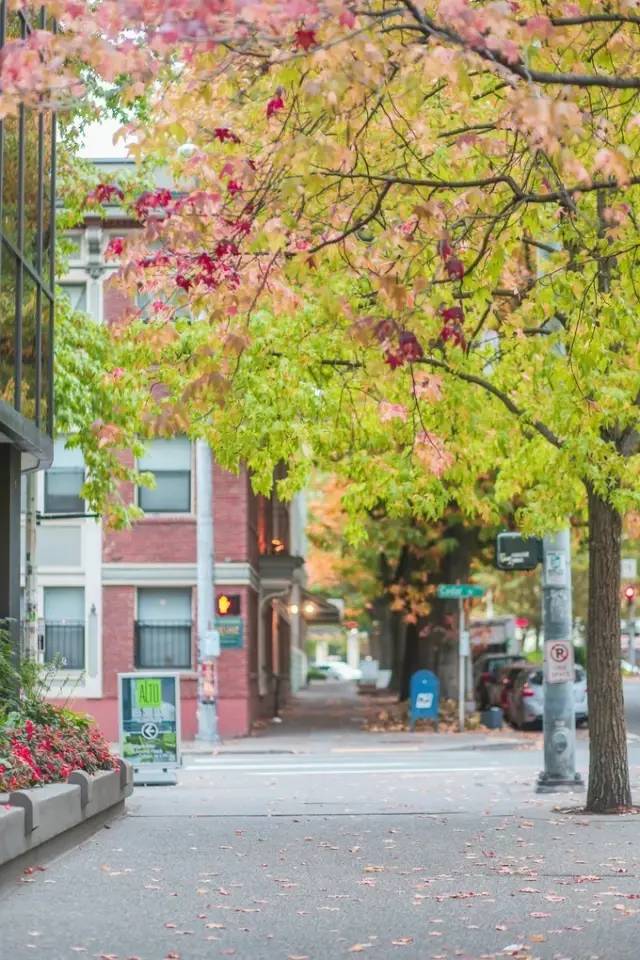 西雅图最浪漫的地方,西雅图一个充满文艺又浪漫的地方