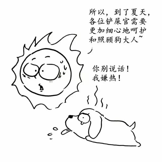 怎么让狗狗变贪吃,夏天怎么让狗毛不乱飞