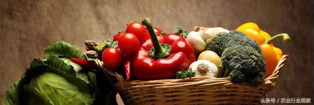农产品创业故事,如何讲好农产品的故事