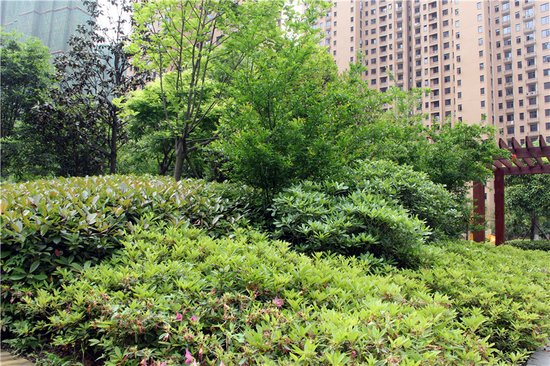 小编探秘：钓鱼台为何代言宜昌楼市潜力股？