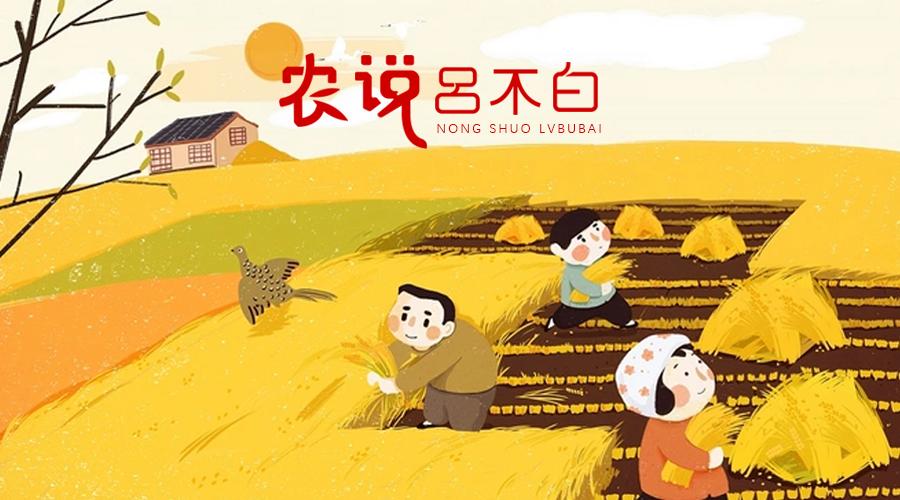 日本大米在中国卖多少钱一斤,日本的大米在本国卖多少钱一斤