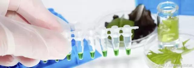 降低微生物“误检出率”｜微生物检测采样方法能帮上你