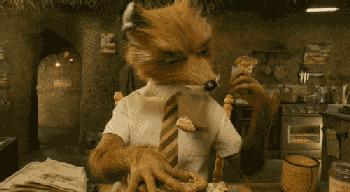 狗狗便血了?!养宠一定要知道的狗狗血便原因