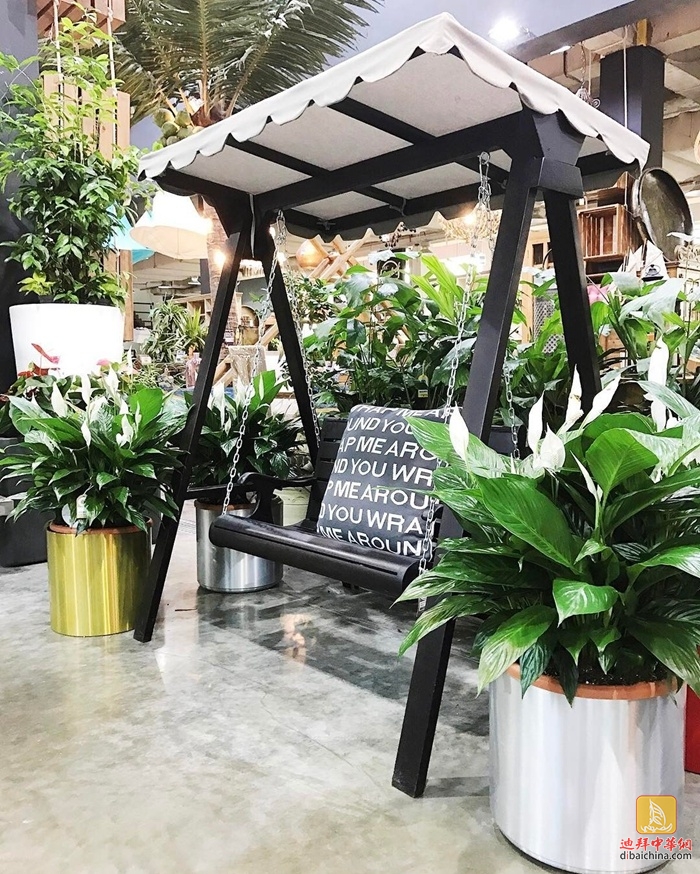 迪拜最大花卉市场在哪里,迪拜有几个花卉市场