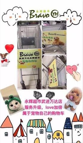 带狗狗逛超市买零食,铲屎官背着狗狗逛街