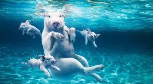 面对女朋友的无理取闹怎么办,怎么应对女朋友胡闹