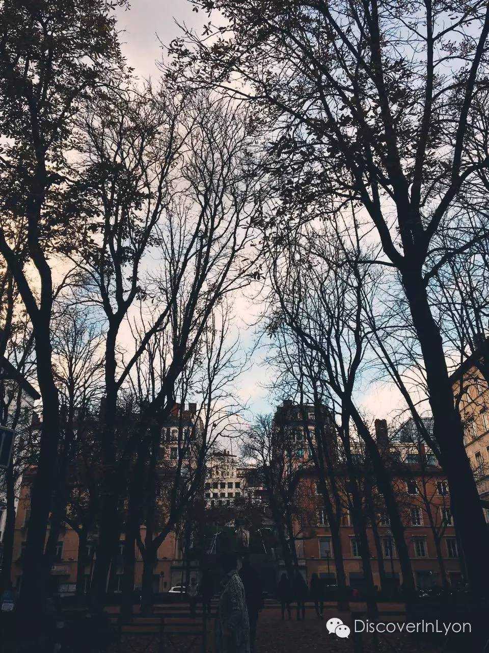 或许我们并不只为壁画倾心——探里昂大街小巷2