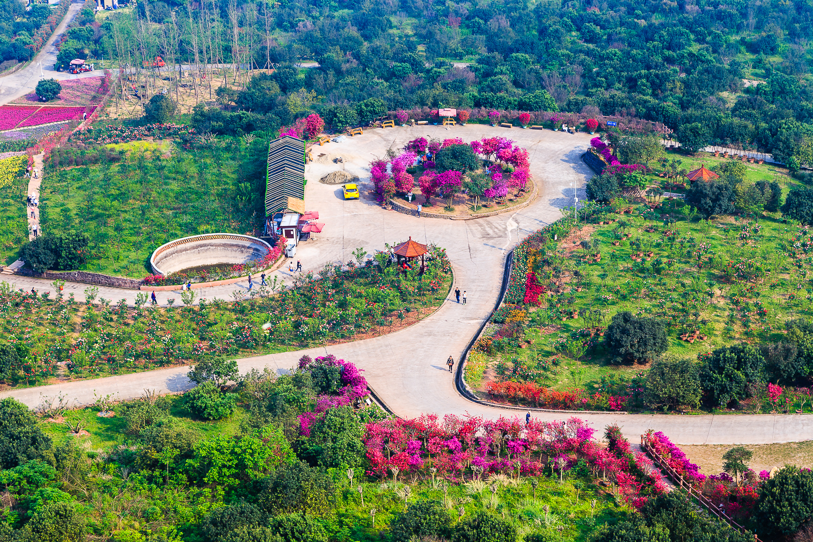 杨梅小镇简介,杨梅小镇的杨梅几月成熟