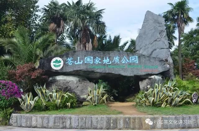 三大沱茶是哪些茶类的产地,沱茶基本知识