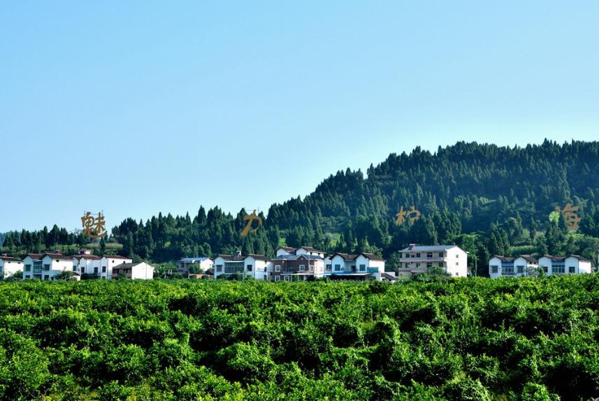 四川5个人口大县,两座位于资阳,第一是仁寿