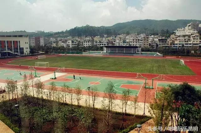 再见了龙狮城,再见了八年级