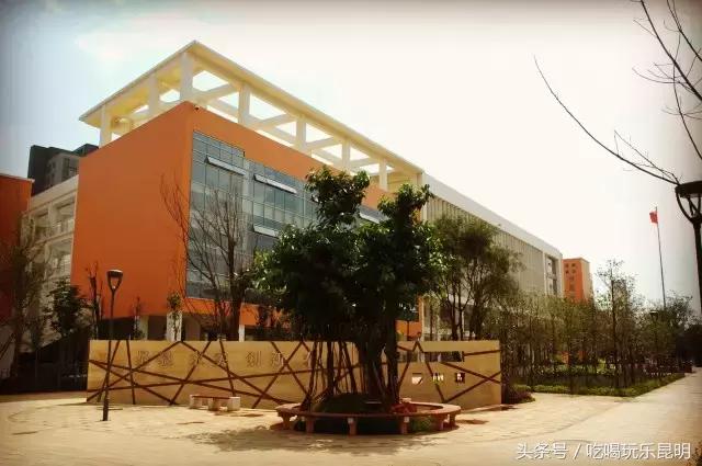 再见了龙狮城,再见了八年级