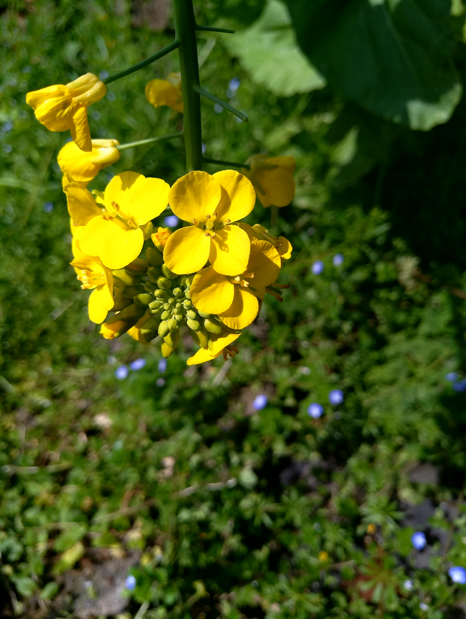 魅族mx6的体验怎么样,魅族mx6深度解析