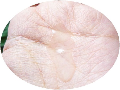 资生堂怡丽丝尔抗皱系列水乳,资生堂的怡丽丝尔系列