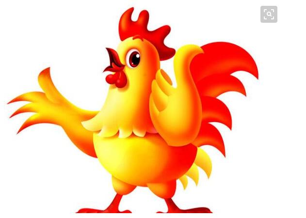 为啥说2023年鸡犯太岁,2024年鸡犯太岁的最佳解决方法