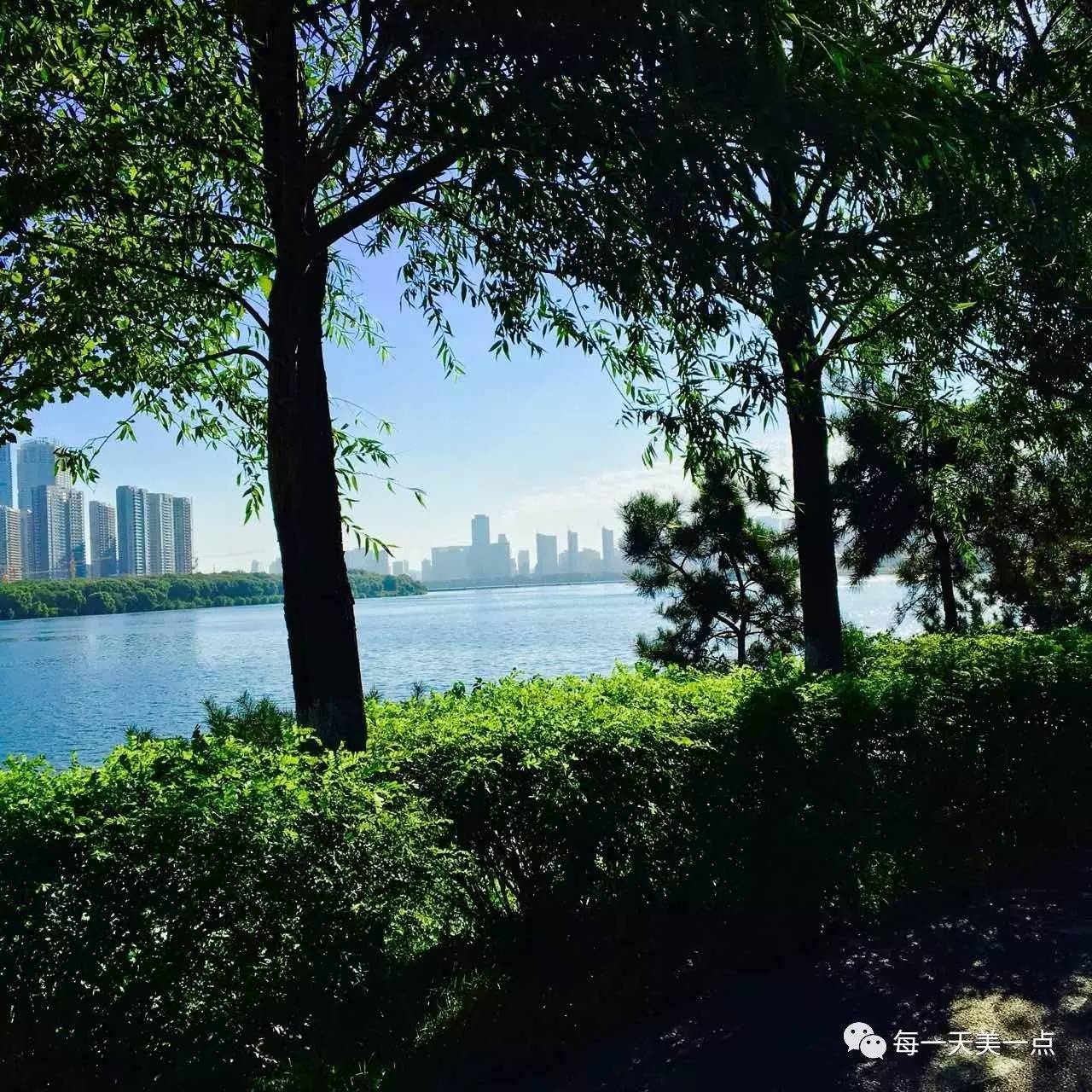 沈阳浑河边骑行夜景,浑河漫步道自行车