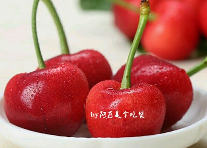 樱桃的季节和品种介绍,樱桃有几个品种哪个品种樱桃好吃