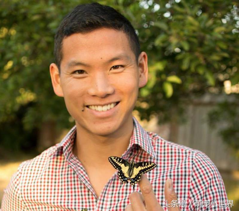 全球最美的蝴蝶,全世界最美的10种蝴蝶