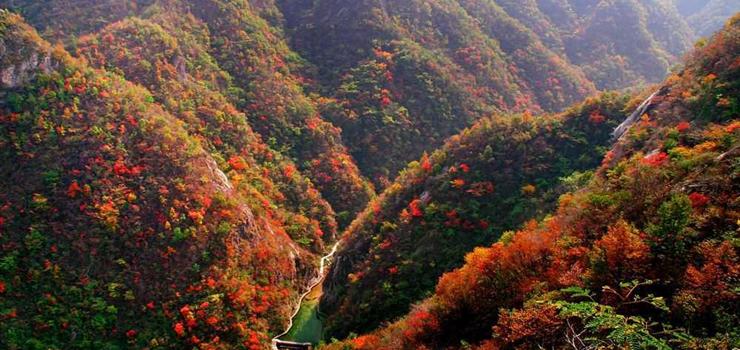 洛阳养子沟景区自驾出游,洛阳养子沟游玩需要多久