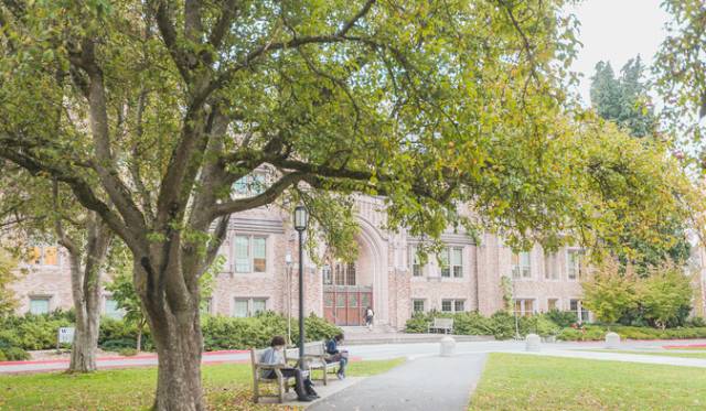 西雅图最浪漫的地方,西雅图一个充满文艺又浪漫的地方