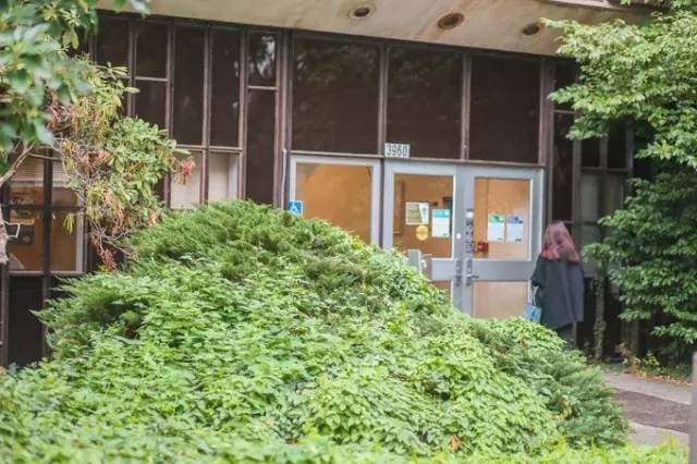 西雅图最浪漫的地方,西雅图一个充满文艺又浪漫的地方