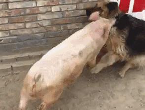 我只注意到后面的亮点了,哈哈