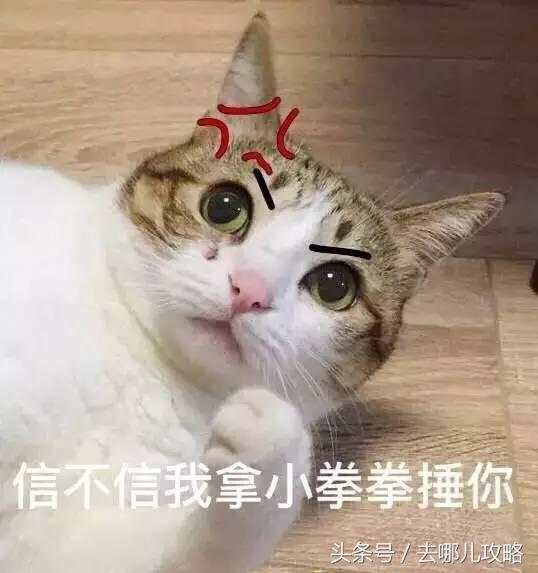 机票怎么买最靠谱最便宜的机票,如何购买最便宜的机票