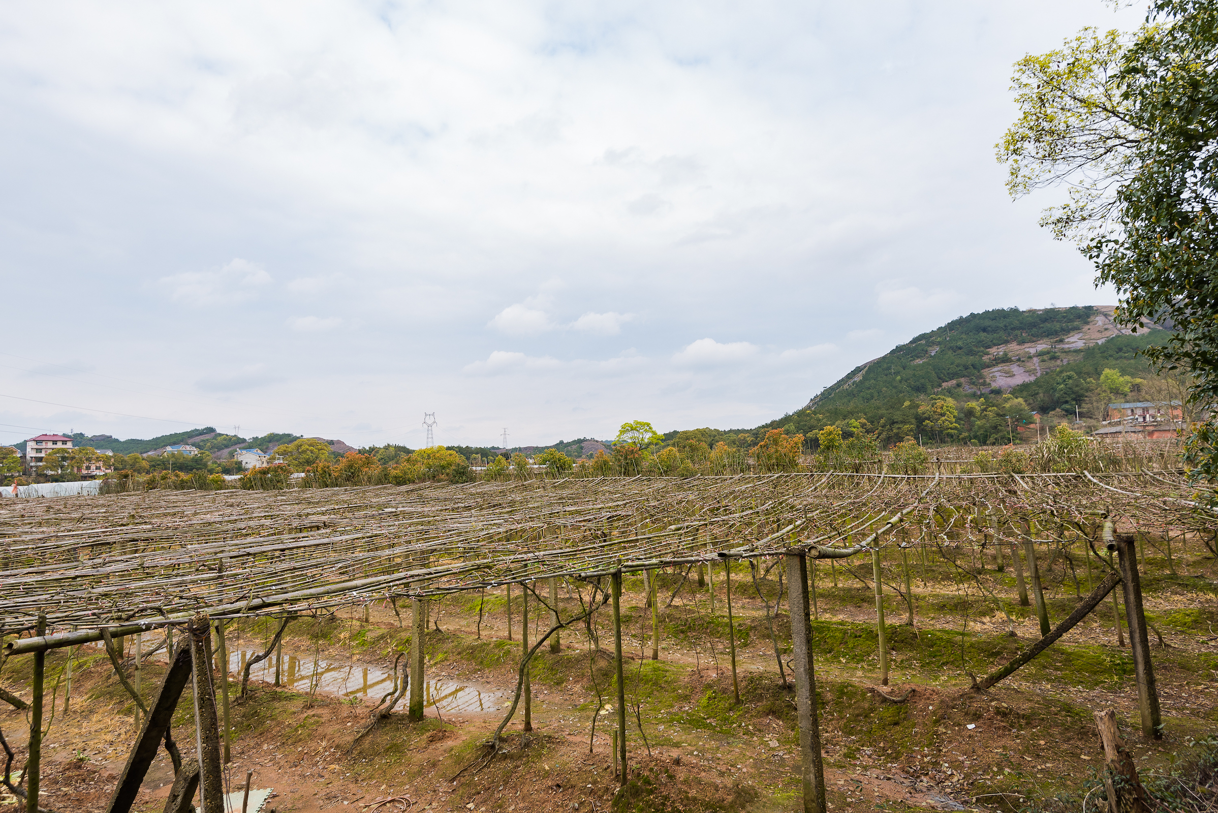 龟峰，创世之神为什么把乌龟的形象封存在这里