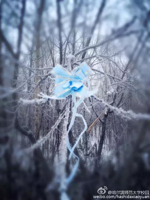 黑龙江最好的师范大学排名,黑龙江省最牛的文科学校