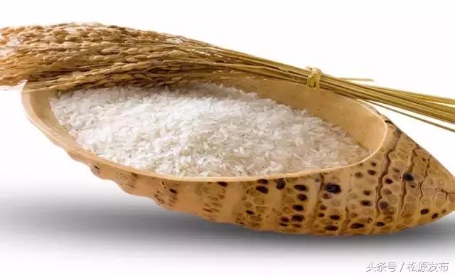 吉林松原大米好吃吗,松原市大米怎么样