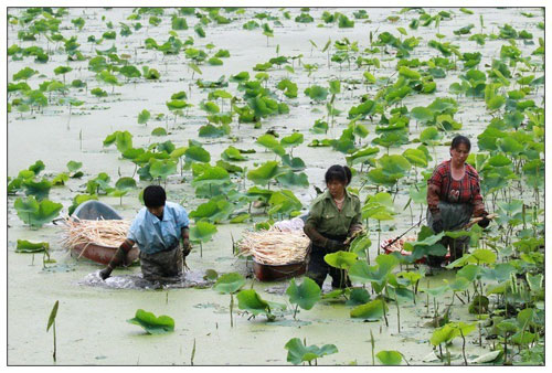北京有几家大董,北京有小大董吗