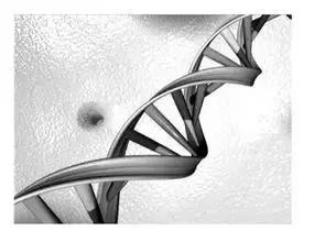 黄皮肤假货怎么识别,假货造成过敏