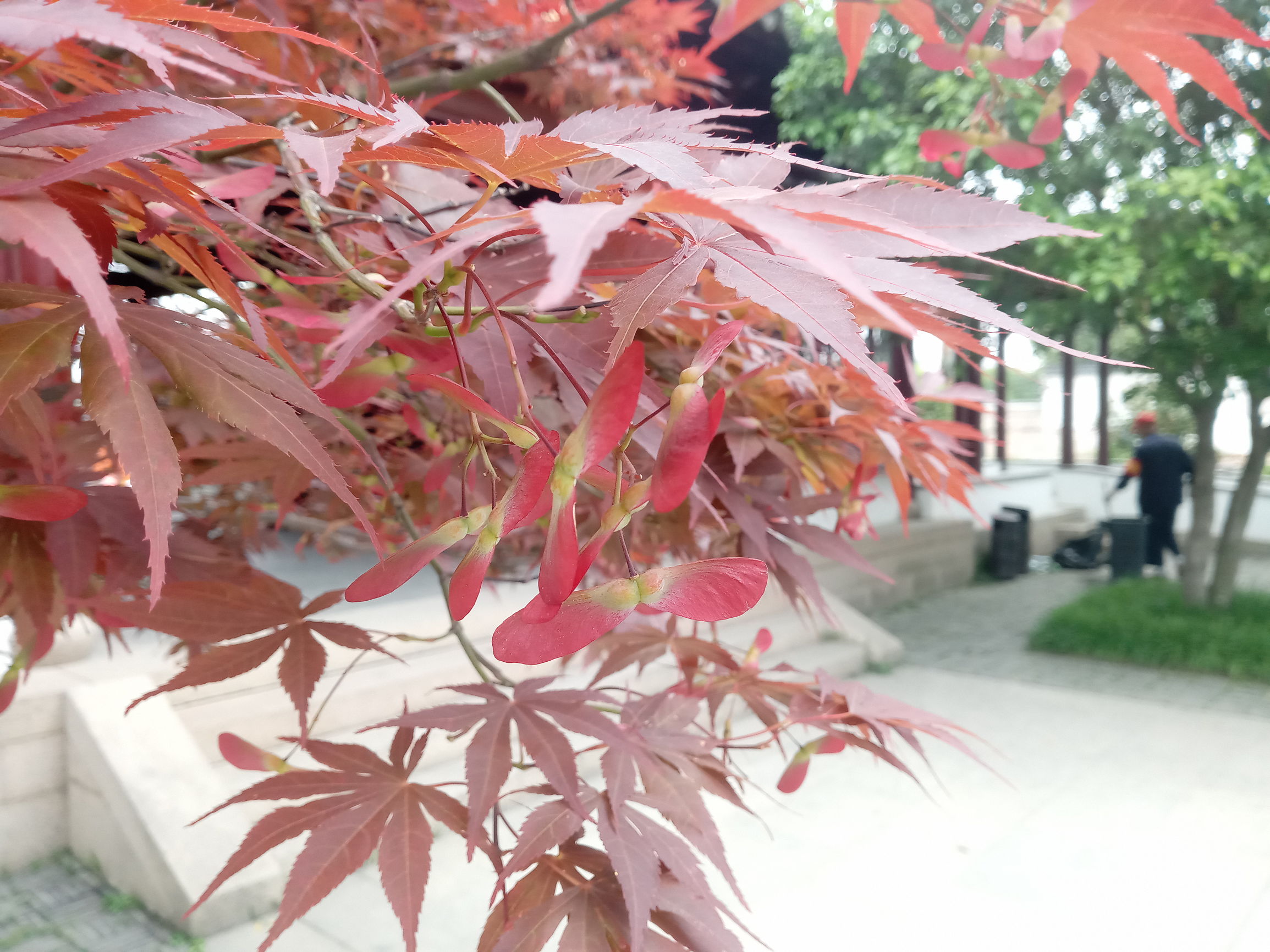 国美k1u1发布会怎么样,国美k1手机参数