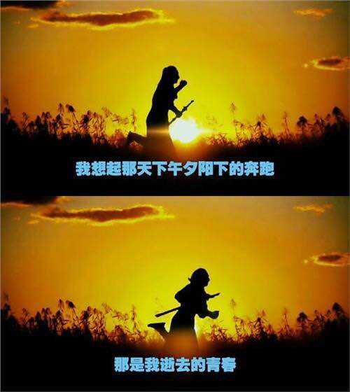 QQ农场现在怎么样了？以此篇勉怀那些年我们疯狂过的偷菜岁月