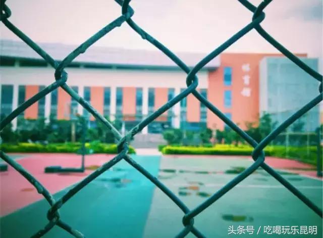 再见了龙狮城,再见了八年级