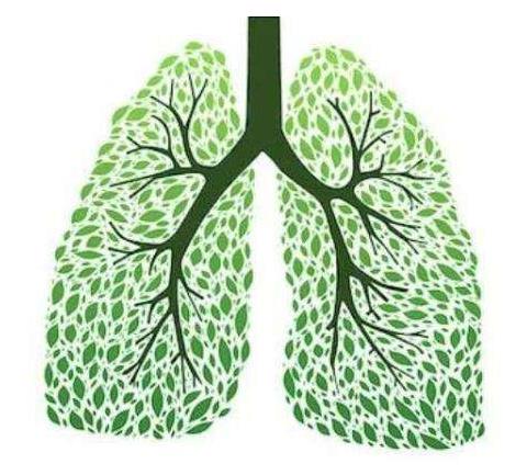 肺癌早期手术前吃什么提高免疫力,肺癌病人怎么提高免疫力最快方法