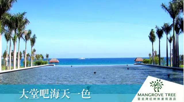 三亚游订哪些宾馆,三亚旅游订酒店哪里好点