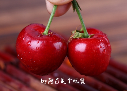 樱桃的季节和品种介绍,樱桃有几个品种哪个品种樱桃好吃