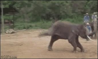 大爷打牌顶石头,大爷扛砖打牌原视频国外