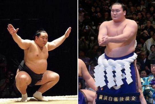 日本年薪百万职业相扑,日本相扑手真实生活