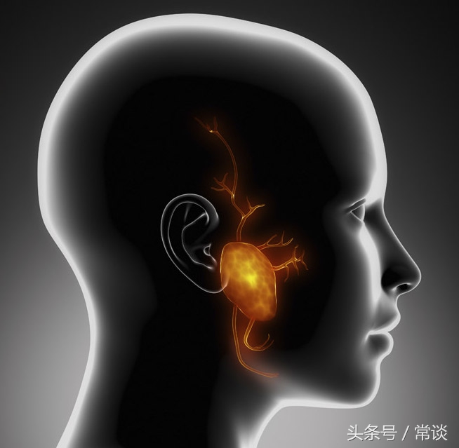 经典常谈三礼读书笔记200字,常谈经典读书笔记