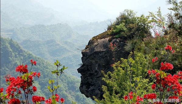 武汉周边避暑亲子游民宿,武汉附近适合夏天住的民宿