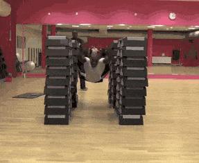 你知道我练习了多少次，才等来这精准一刻